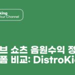 JAY 유튜브 쇼츠 음원수익 정산플랫폼 비교 DistroKid 외